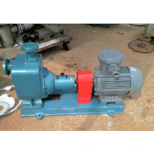 Cyz-a Self-Priming Centrifugal Fuel Electric Pump